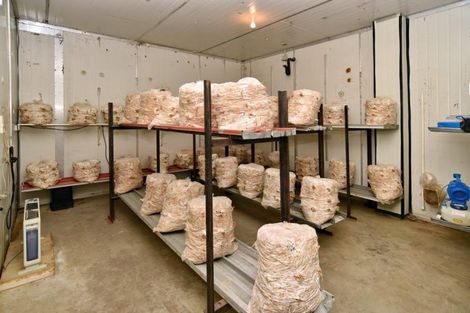 Photo of property in 407 Pesters Road, Eyrewell, Rangiora, 7476