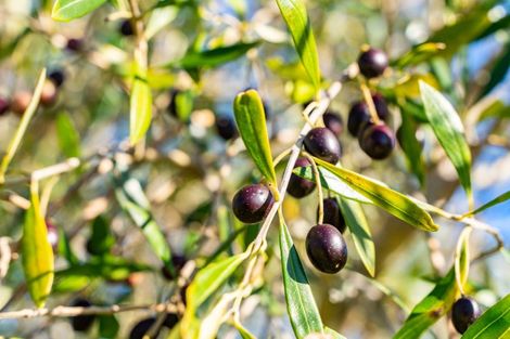 Photo of property in 159 Robert Hastie Drive, Mangawhai, 0573