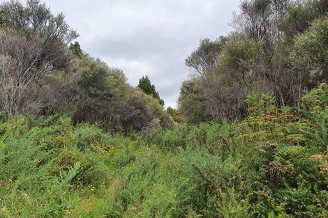 Photo of property in 18 Sanctuary Place, Kumara Junction, Hokitika, 7882