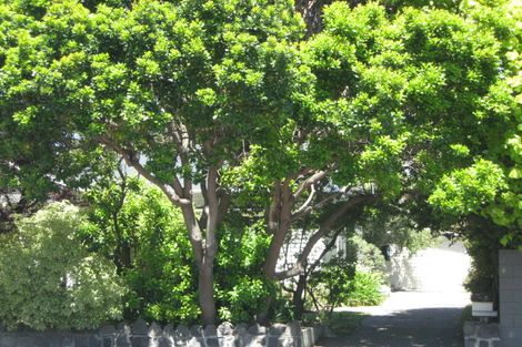 Photo of property in 37 Selwyn Street, Somerfield, Christchurch, 8024