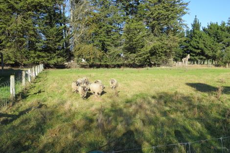 Photo of property in 98 Timaru-temuka Highway, Washdyke, Timaru, 7973