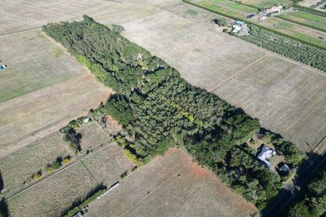 Photo of property in 270 Motuiti Road, Foxton, 4891