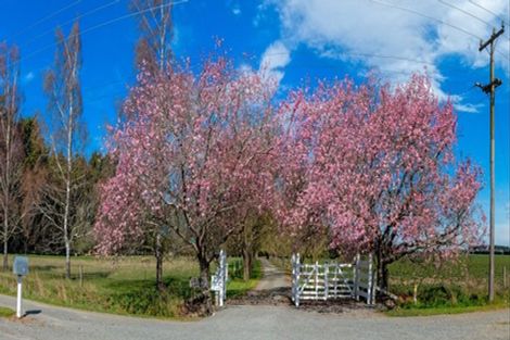 Photo of property in 1661 North Eyre Road, West Eyreton, Rangiora, 7475