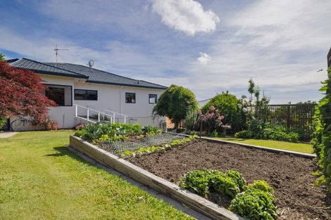 Photo of property in 24 Rutherford Street, Otumoetai, Tauranga, 3110