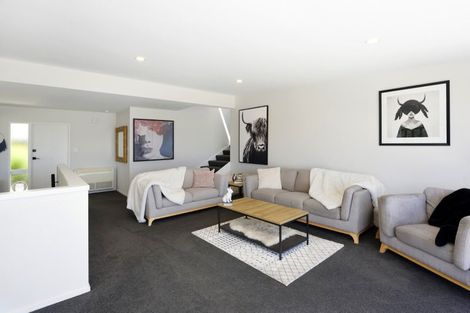 Photo of property in 16 Windleborn Place, Richmond, 7020