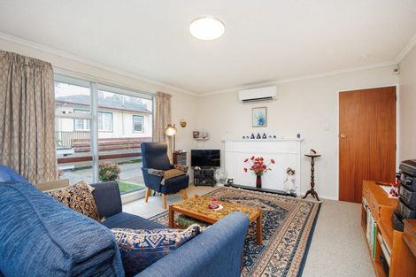 Photo of property in 153a Ruahine Street, Roslyn, Palmerston North, 4414