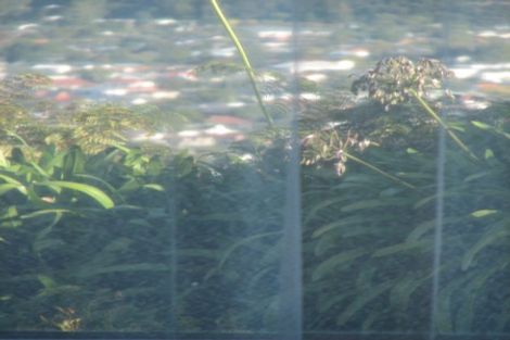 Photo of property in 40-42 Wairere Road, Belmont, Lower Hutt, 5010