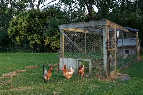 Photo of property in 43 Moses Road, Kaukapakapa, 0873