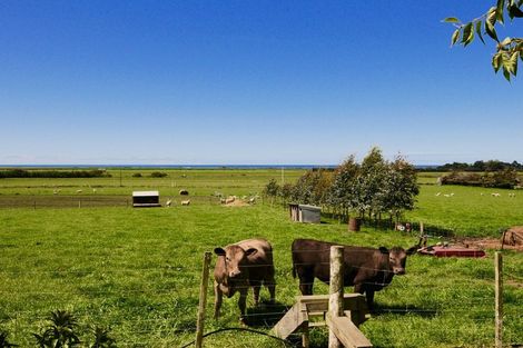 Photo of property in 393 Pukeuri-oamaru Road, Pukeuri, Oamaru, 9493