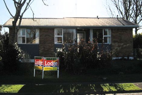 Photo of property in 19 Ryan Avenue, Chartwell, Hamilton, 3210