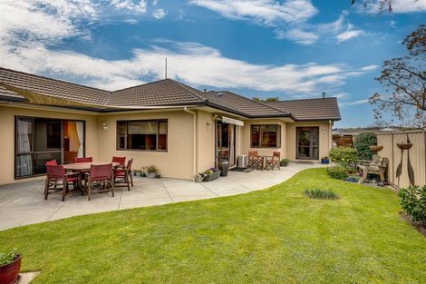 Photo of property in 54 Park Road, Greenmeadows, Napier, 4112
