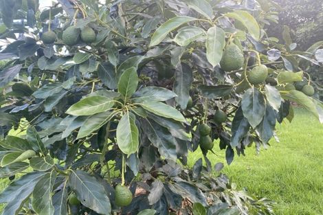 Photo of property in 109a Plummer Road, Whakamarama, Tauranga, 3179