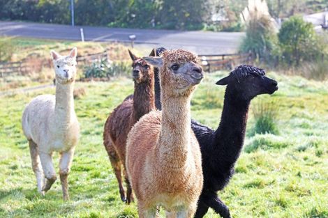 Photo of property in 2428 Hunua Road, Hunua, Papakura, 2583