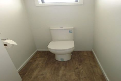 Photo of property in 32a Willow Street, Hampstead, Ashburton, 7700