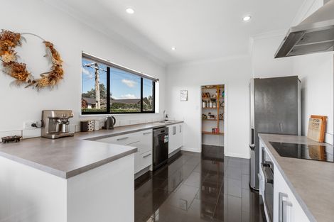 Photo of property in 20 Lynas Street, Outram, 9019