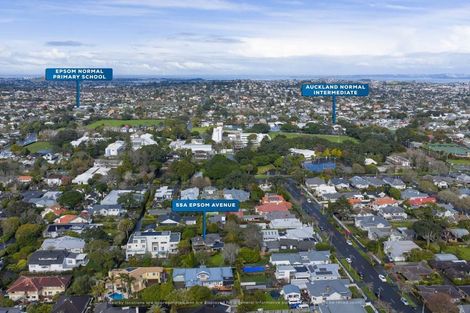 Photo of property in 55a Epsom Avenue, Epsom, Auckland, 1023