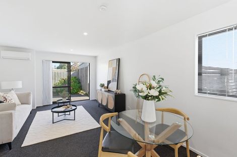 Photo of property in 51/10 Buffon Street, Waltham, Christchurch, 8023