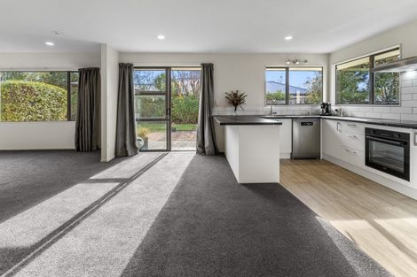 Photo of property in 16 Appaloosa Avenue, Richmond, 7020