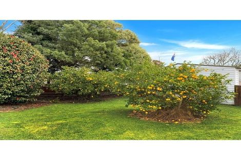 Photo of property in 12 Vogel Street, Levin, 5510