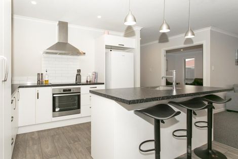 Photo of property in 55a Princes Street, Netherby, Ashburton, 7700