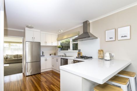 Photo of property in 151 Limbrick Street, Terrace End, Palmerston North, 4410