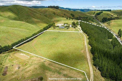 Photo of property in 287e Millars Road, Longbush, 5792