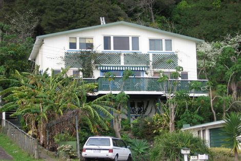 Photo of property in 11 Creagh Street, Tapu, Thames, 3575