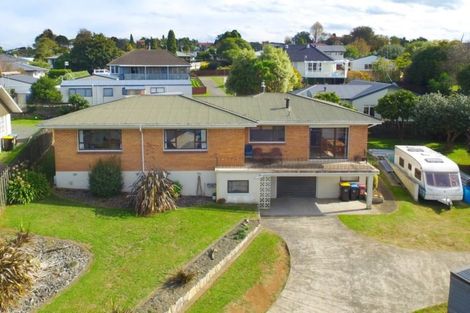 Photo of property in 93 Saint Marys Avenue, Te Awamutu, 3800