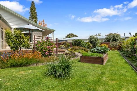 Photo of property in 49b Alexander Avenue, Whakatane, 3120
