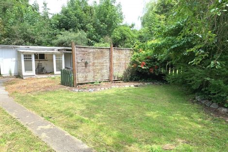 Photo of property in 53a Mckenzie Street, Geraldine, 7930