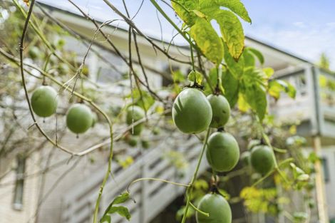 Photo of property in 52 Pitcairn Street, Oakura, 4314