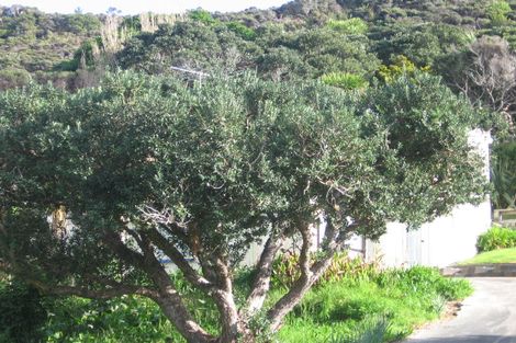 Photo of property in 129 Wintle Street, Mangawhai Heads, Mangawhai, 0505