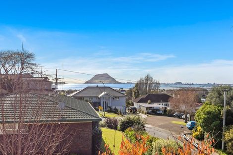 Photo of property in 49 Pillans Road, Otumoetai, Tauranga, 3110