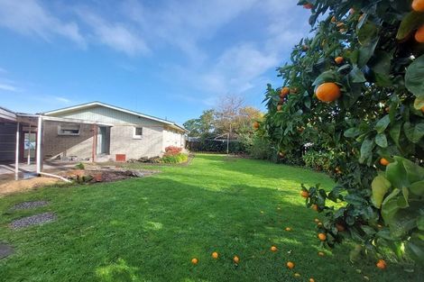 Photo of property in 29 De Vere Crescent, Chartwell, Hamilton, 3210