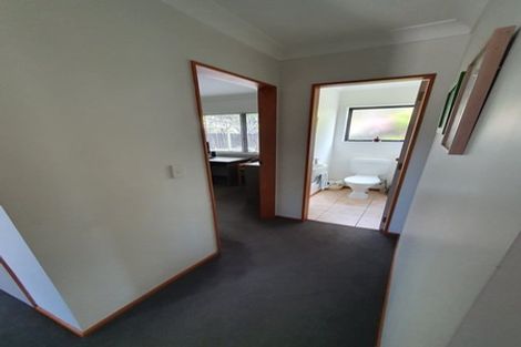 Photo of property in 30b Ascot Road, Mount Maunganui, 3116