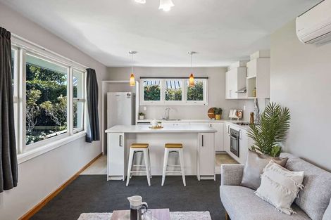 Photo of property in 47 Middlepark Road, Sockburn, Christchurch, 8042