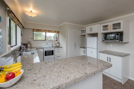 Photo of property in 292 Heatherlea Road East, Levin, 5571