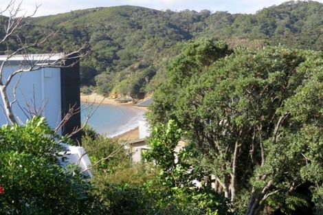 Photo of property in 17 Little Bay Drive, Waikawau, Coromandel, 3584