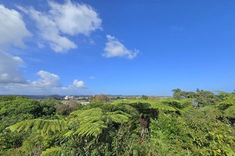 Photo of property in 15 Alpine View, Hokitika, 7810