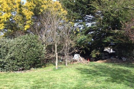 Photo of property in 28 Burraness Street, Palmerston, 9430