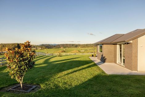 Photo of property in 10 Betty May Drive, Pyes Pa, Tauranga, 3173
