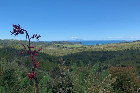 Photo of property in 238 Hillcrest Road, Wainui, 0931