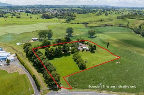 Photo of property in 113 Domain Road, Putaruru, 3482
