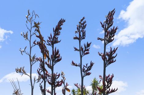 Photo of property in 234 Te Hapua Road, Te Horo, Otaki, 5581