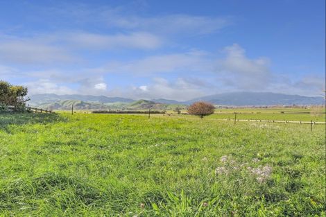 Photo of property in 3074a Cambridge Road, Rotoorangi, Cambridge, 3495