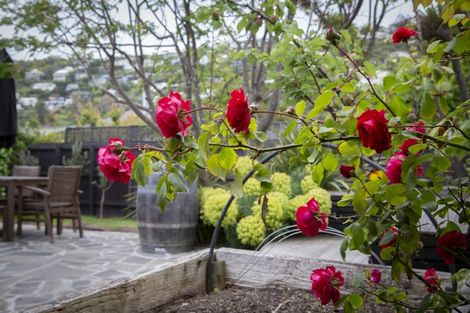 Photo of property in 23 Menzies Street, Sumner, Christchurch, 8081