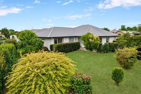 Photo of property in 25 Mckenzie Place, Matamata, 3400