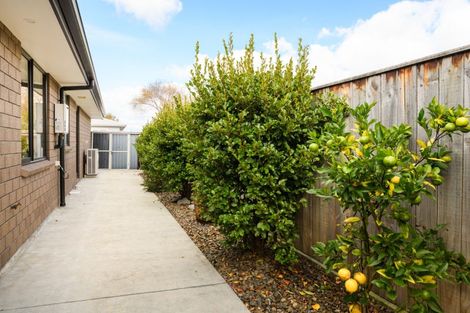 Photo of property in 20a Keith Elliott Street, Feilding, 4702