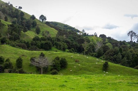 Photo of property in 71 Mangotahi Road, Thames, 3577