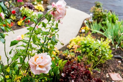 Photo of property in 67b Forfar Street, Mosgiel, 9024